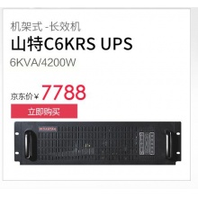 山特C6KRS UPS不间断电源 6KVA/4200W C6KRS 单机
