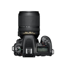 尼康 (Nikon) D7500 数码 单反相机