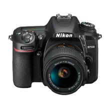 尼康 (Nikon) D7500 数码 单反相机