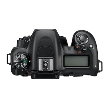 尼康 (Nikon) D7500 数码 单反相机