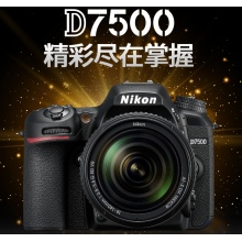 尼康 (Nikon) D7500 数码 单反相机