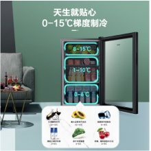 海尔（Haier）家用客厅办公室小型冰吧 水果茶叶红酒饮料保鲜柜客厅冰箱DS096A